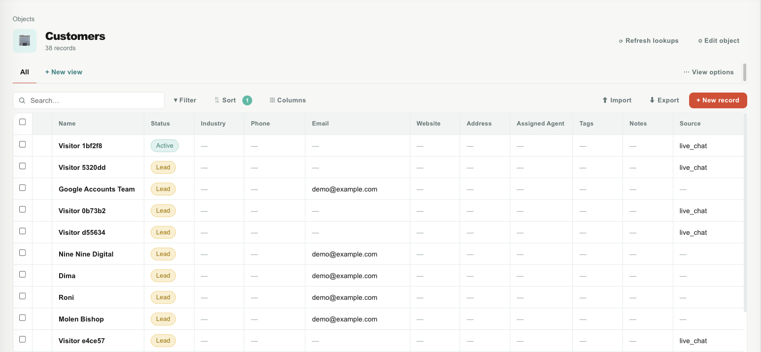 Customer profile screenshot: Profile with journey, custom objects and documents